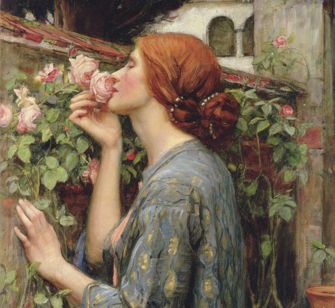 The Soul of the Rose - by John W. Waterhouse - modified